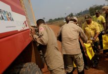 Macron promete que G7 enviará 20 milhões de euros para ajudar no combate a queimadas