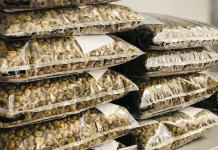 Empresa investe para conquistar mercado de cafés especiais