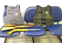 BPMA apreende arma de fogo e animais mantidos em cativeiro em Baixo Guandu