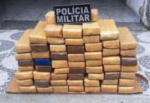 Polícia Militar apreende 50 quilos de maconha em São Mateus