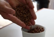 Exportações do agronegócio capixaba crescem 11% no acumulado do ano