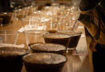 Prêmio do concurso de conilon da Cooabriel chega a R$30 mil; Inscrições abertas