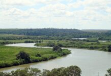 Salinização avança pelo Rio Cricaré e Prefeitura de São Mateus reforça pedido para população economizar água