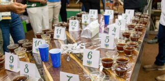 V Concurso de Qualidade do Café Conilon de Jaguaré recebe 56 inscrições e inicia nova etapa de avaliação